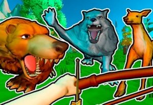 Mysterious Forest Adventure