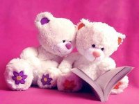 Teddy Bears Slide Puzzle