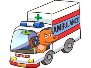 Cartoon Ambulance Puzzle Online Game - Jigsaw Puzzle