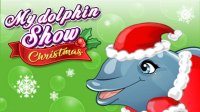 Dolphin Christmas Show: Kids Arcade