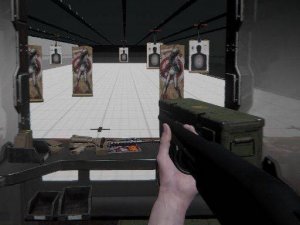 Firearm Simulator Online Shooting Game