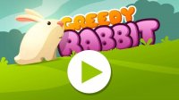 Rabbit Puzzle Journey