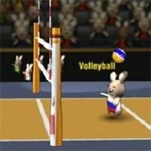 BunnyLimpics Volleyball 2012 Online Arcade Game