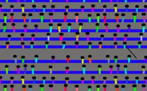 Javelin Throw Challenge