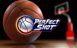 Precision Hoops Challenge