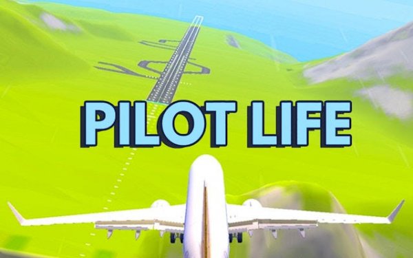 Sky Pilot Flight Simulator 3D screenshot 1