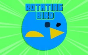 Orbital Bird Flight