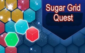Hexagon Block Puzzle Challenge screenshot 2