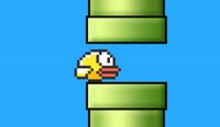Bird Smash Challenge