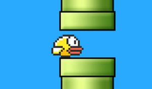 Bird Smash Challenge